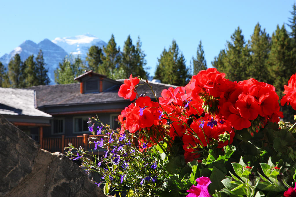 Mountaineer Lodge Lake Louise Exterior foto